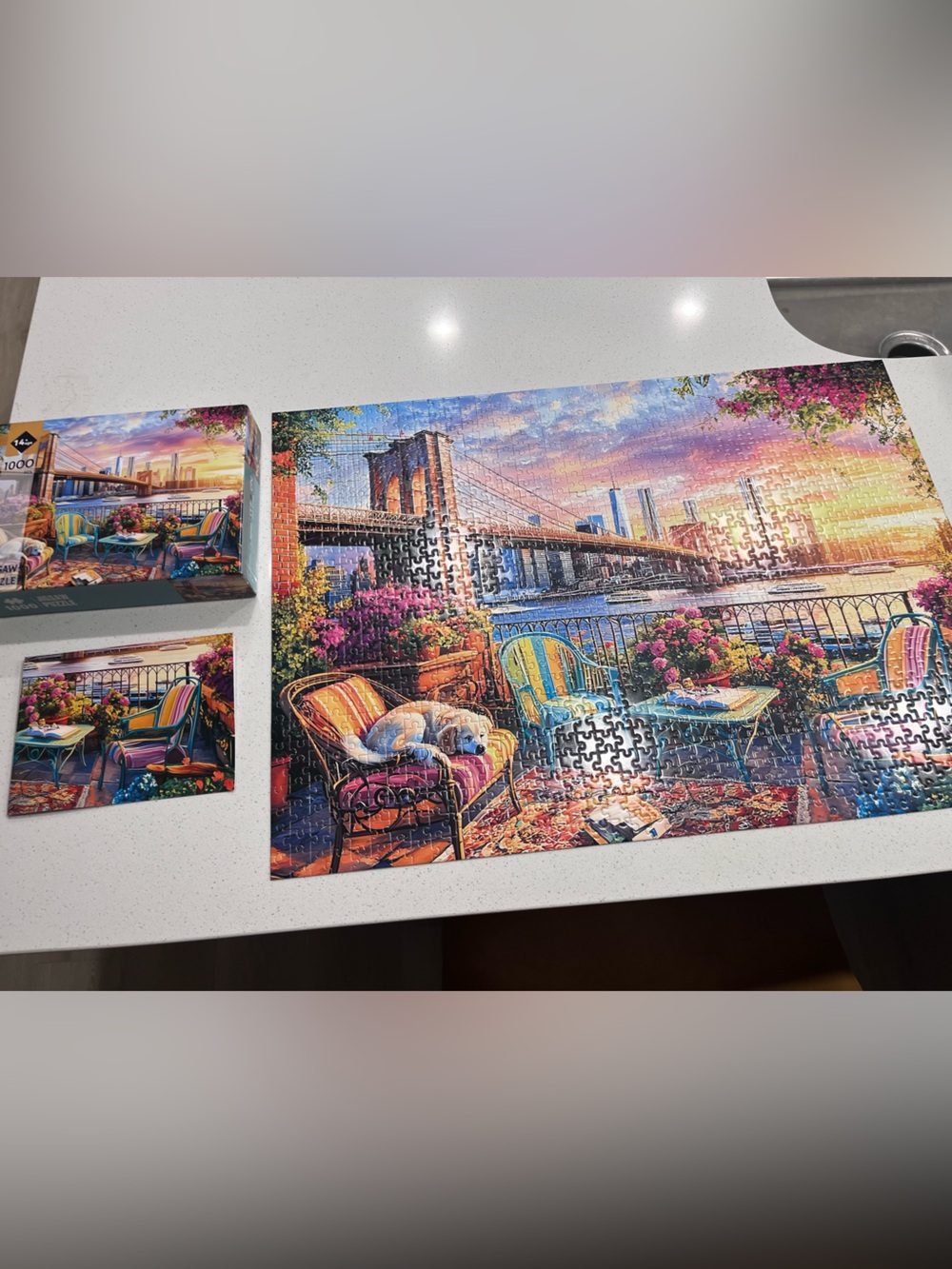 Jigsaw Puzzle 1,000 piece